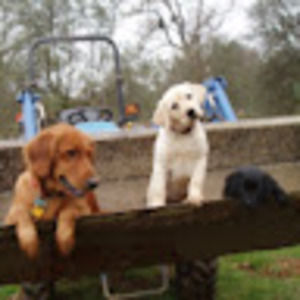 Meet your Posher, Avalyn